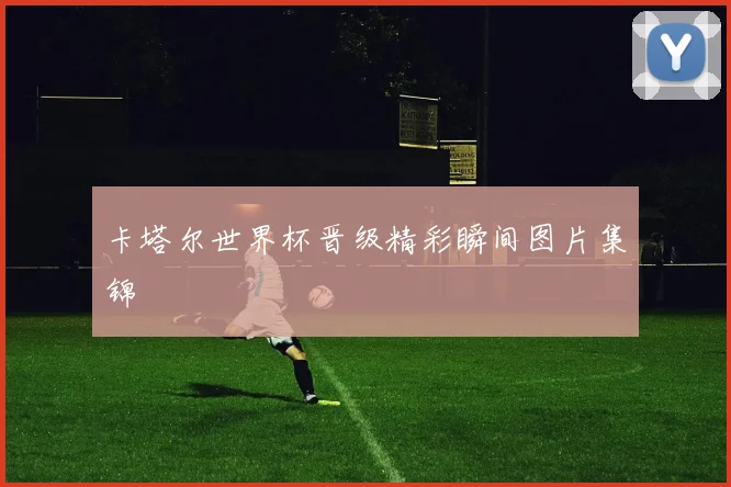卡塔尔世界杯晋级精彩瞬间图片集锦