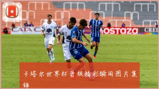 卡塔尔世界杯晋级精彩瞬间图片集锦