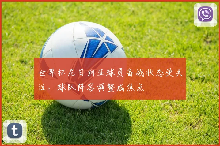 世界杯尼日利亚球员备战状态受关注，球队阵容调整成焦点